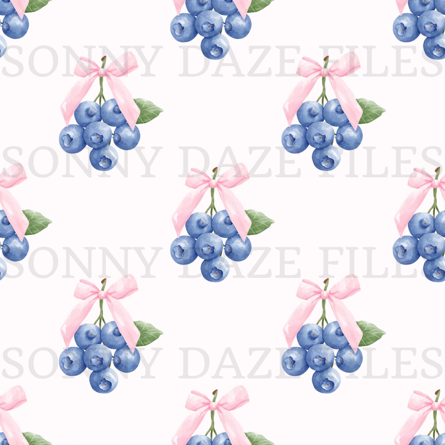 Coquette blueberries