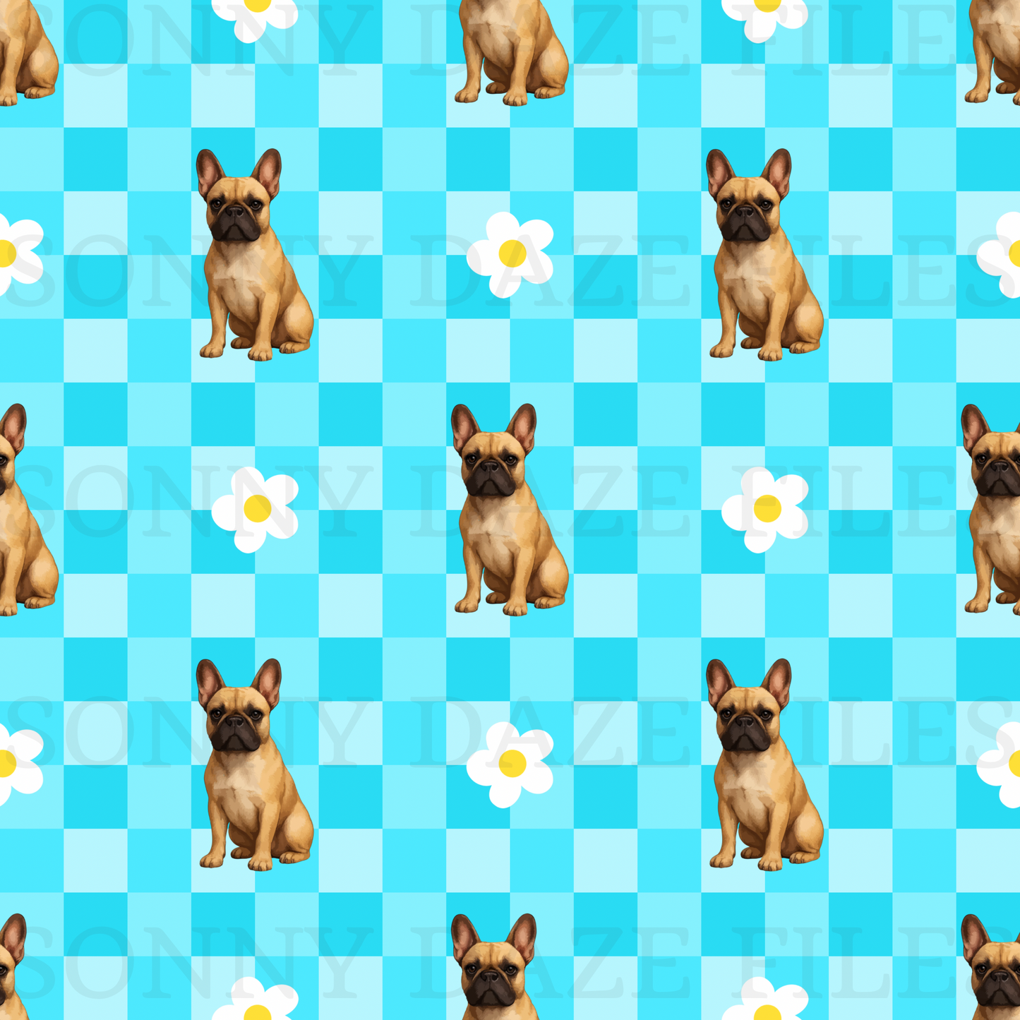 French bull dog