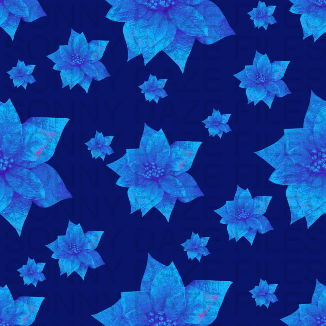 Poinsettia