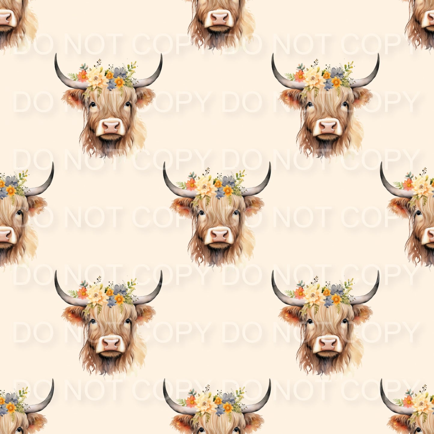 Highland cows