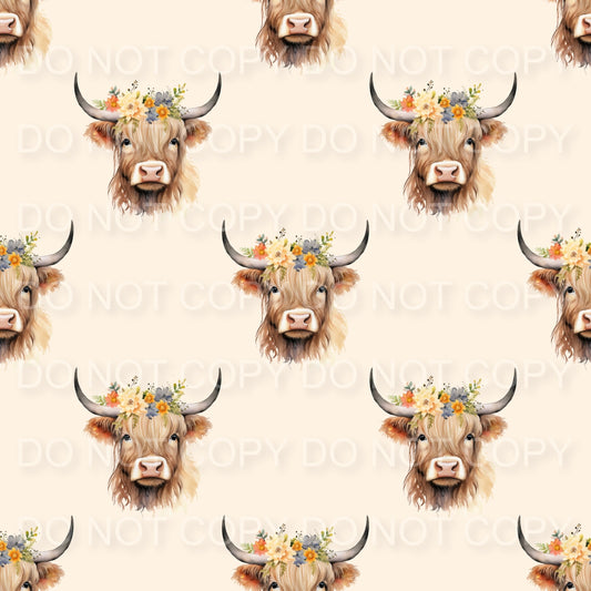 Highland cows