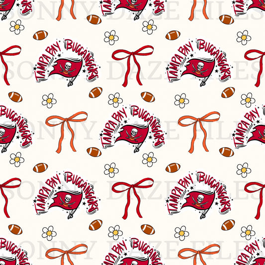Football Tampa bay