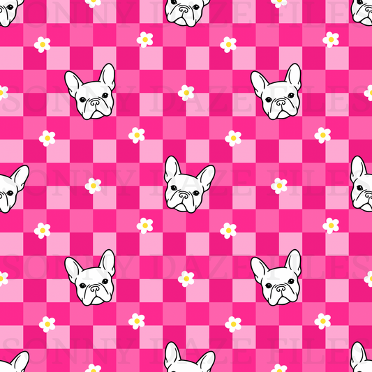 French bull dog