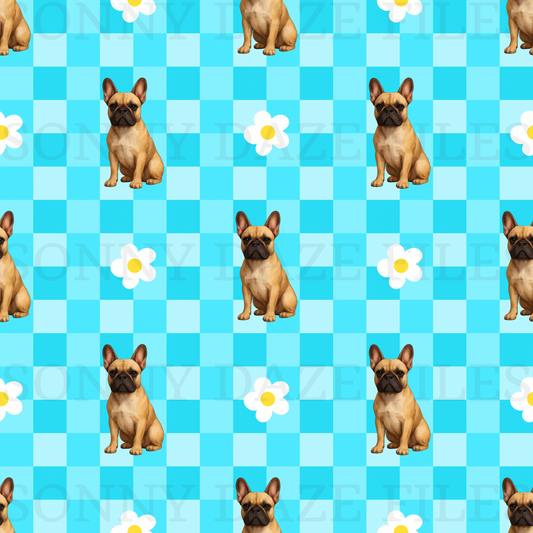 French bull dog