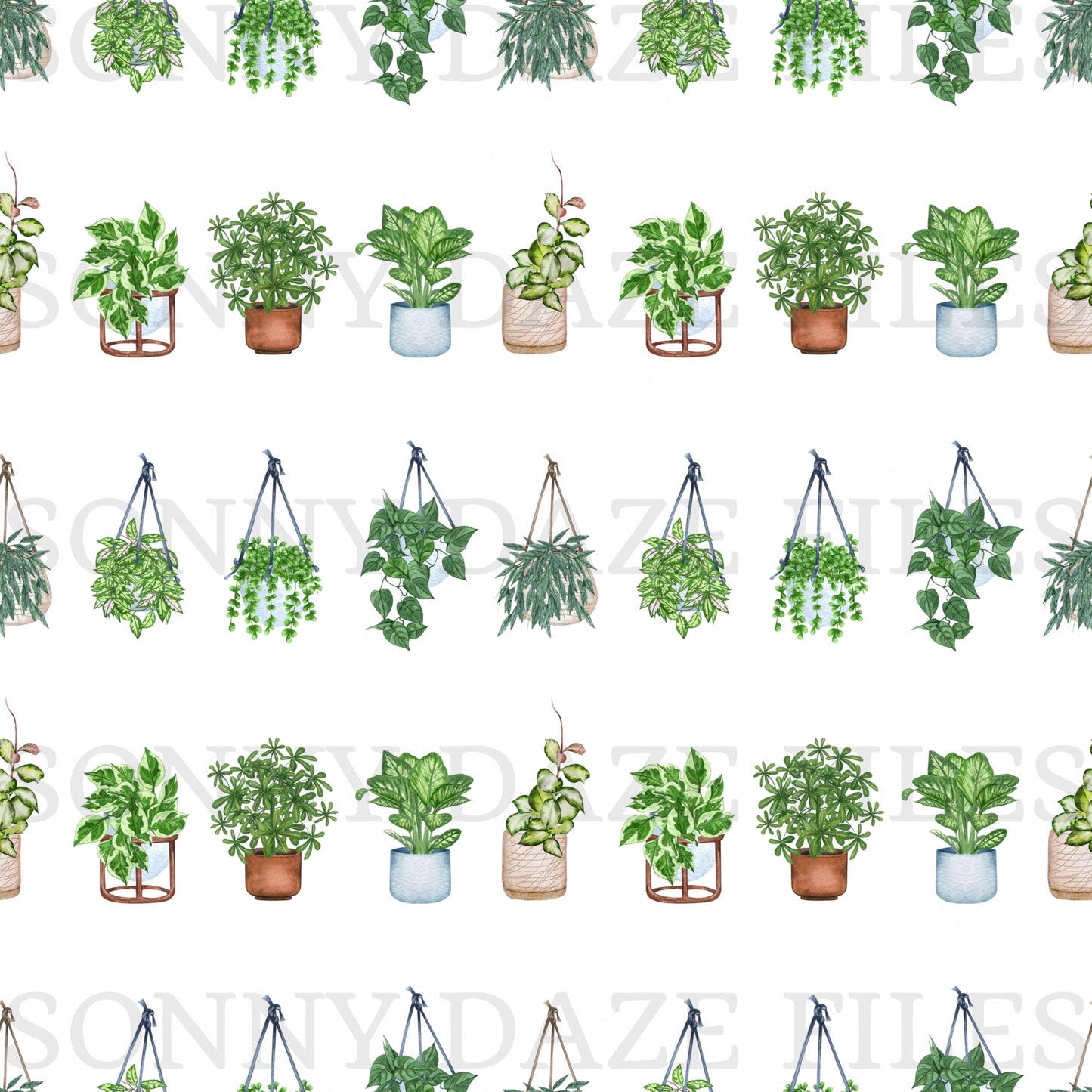 Plants