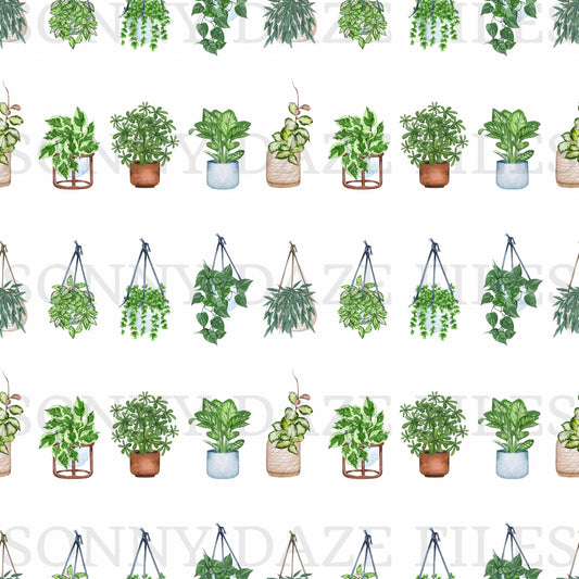 Plants
