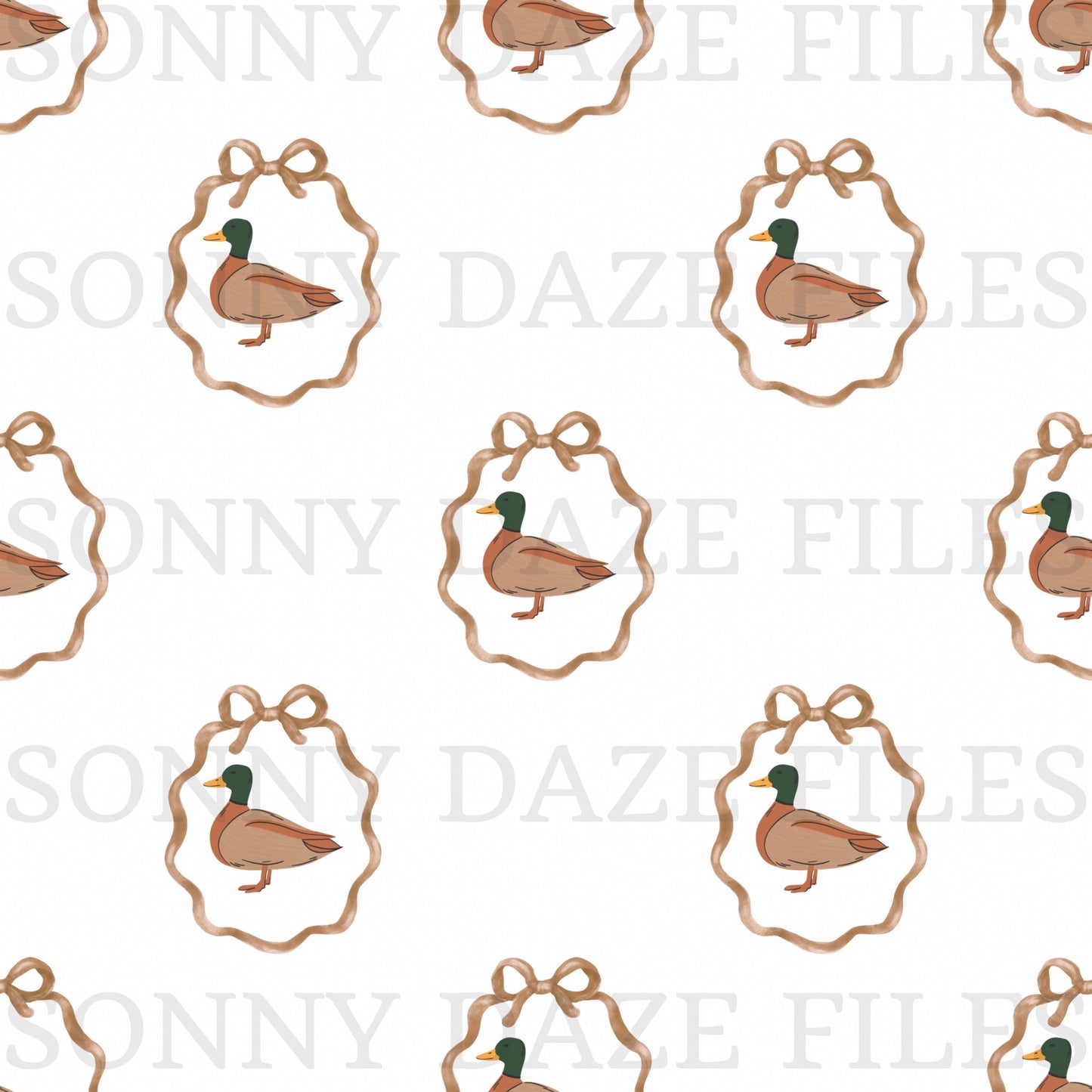 Coquette duck