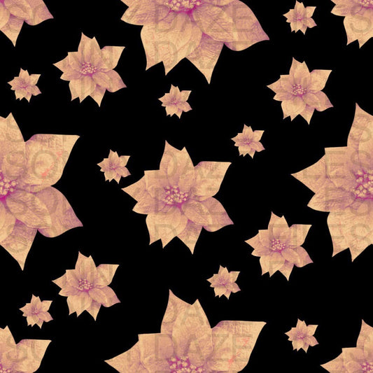 Poinsettia