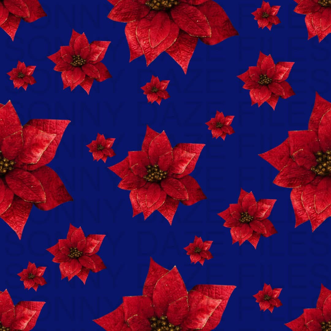 Poinsettia